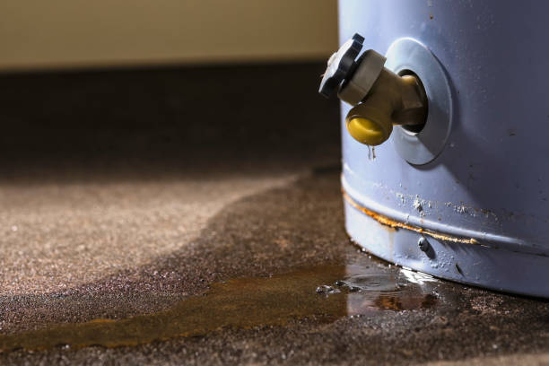 Best Mold removal after water damage  in Meridian, TX
