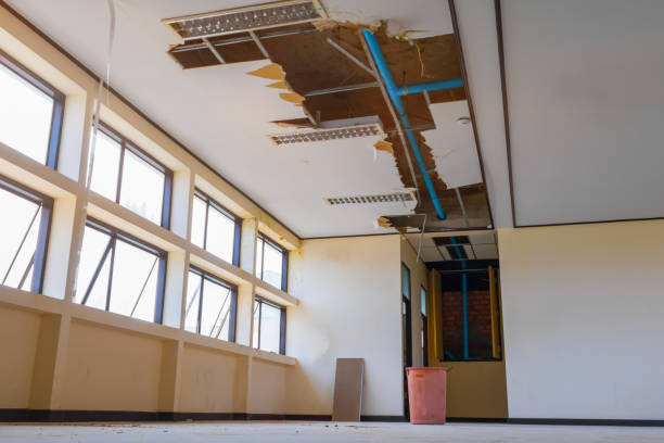 Best 24/7 water damage repair  in Meridian, TX