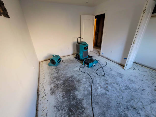  Meridian, TX Water damage restoration Pros