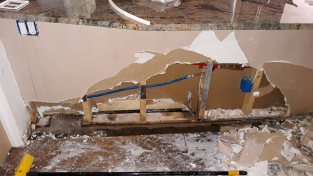Best Ceiling water damage repair  in Meridian, TX