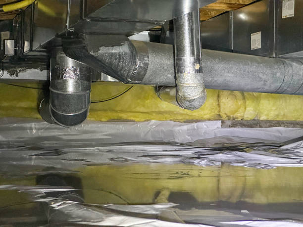 Best Water damage cleanup near me  in Meridian, TX