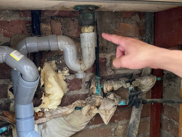 Best Flooded house restoration  in Meridian, TX
