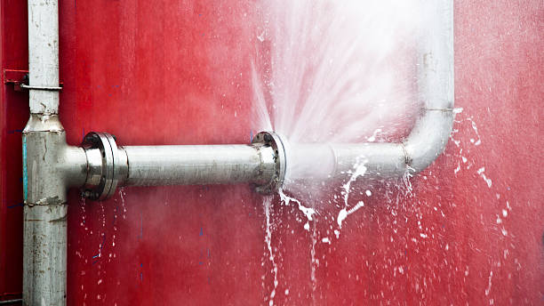 Best Flood damage cleanup  in Meridian, TX