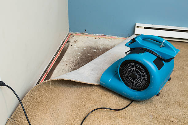 Best Basement water damage restoration  in Meridian, TX